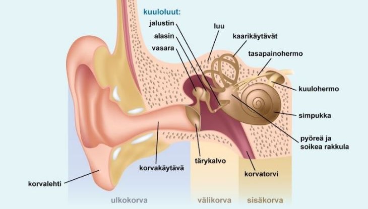 Tie Parempaan Kuullunymm rt miseen Sivu 2 Hifiharrastajat Foorumi