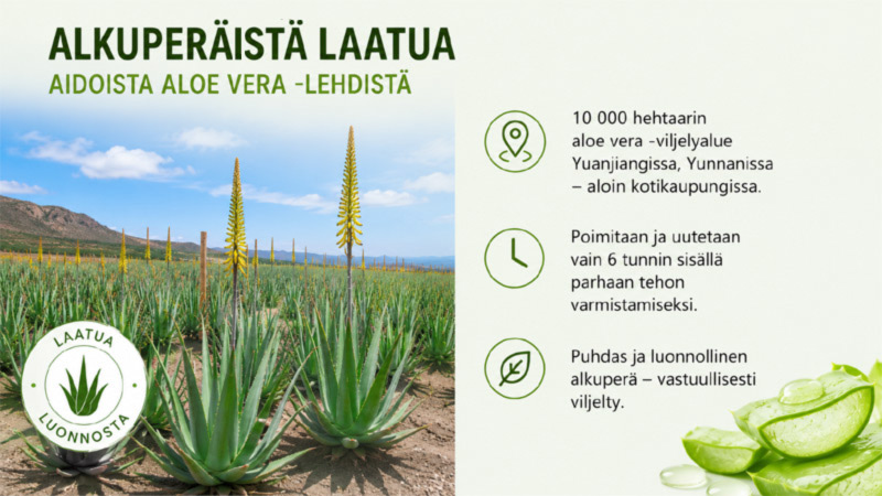 Karusellikuva
